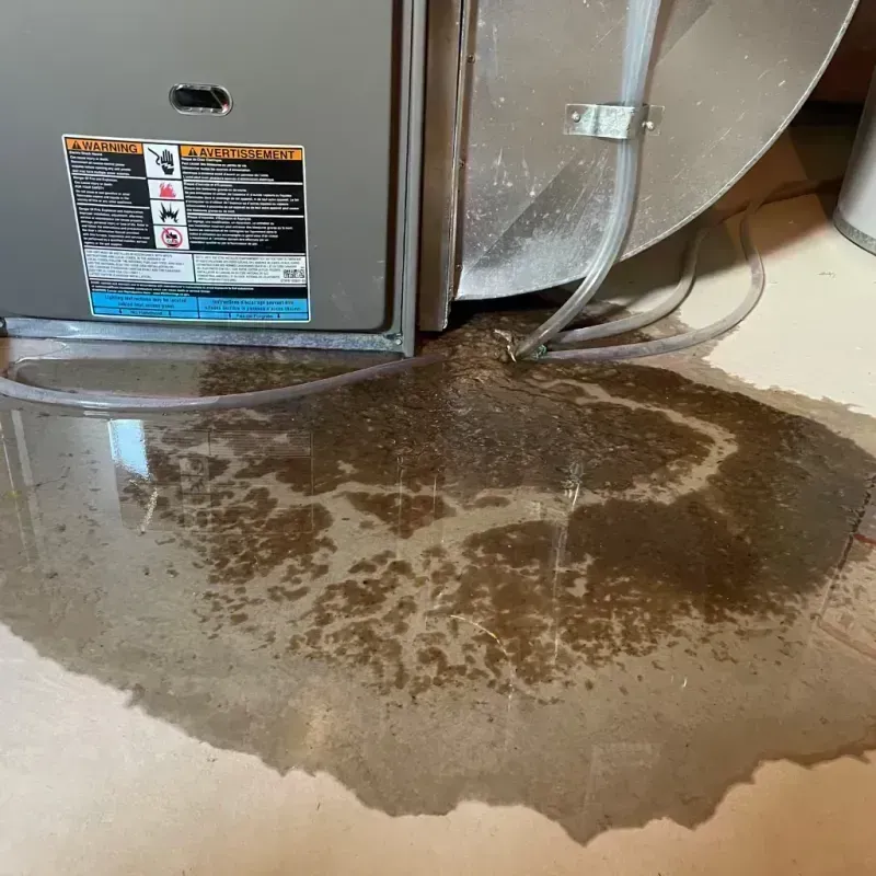 Appliance Leak Cleanup in Ellisville, MO